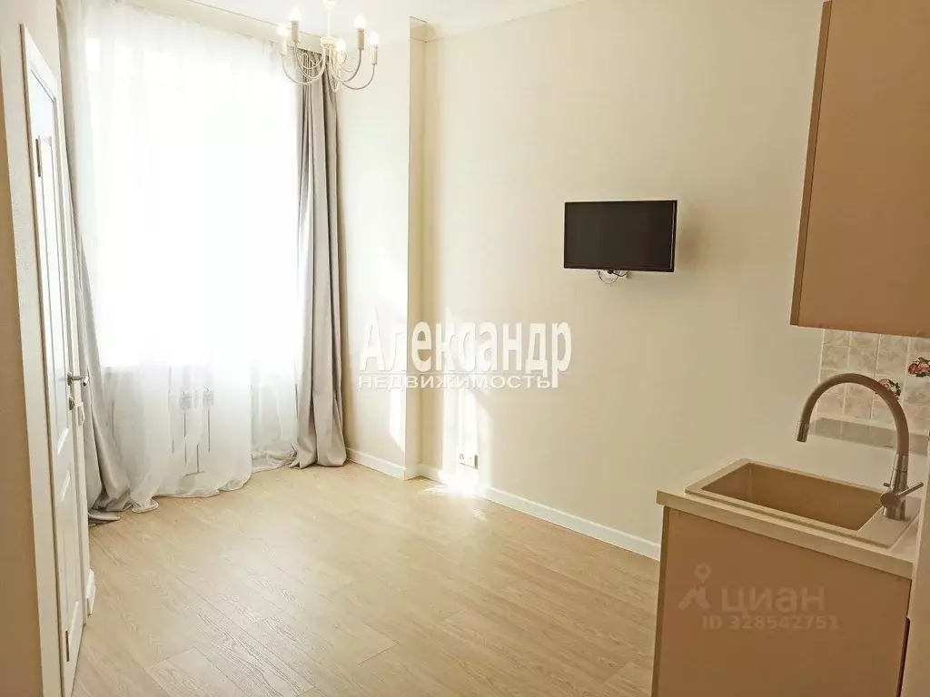 Студия Санкт-Петербург Московский просп., 155 (23.4 м) - Фото 2