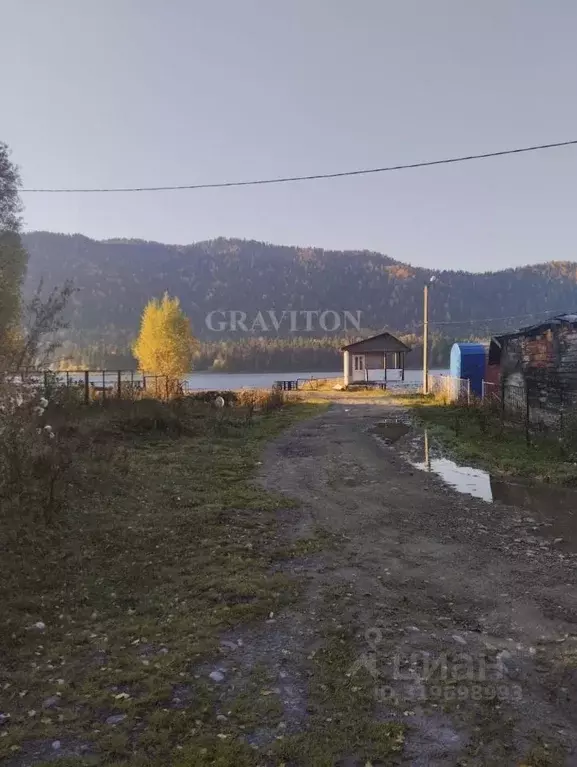 Участок в Алтай, Турочакский район, с. Артыбаш Телецкая ул. (2.44 ... - Фото 1