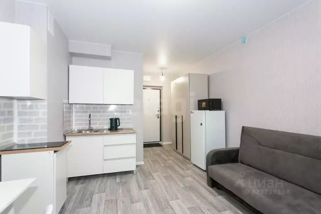 Студия Новосибирская область, Новосибирск Спортивная ул., 45 (25.0 м) - Фото 1