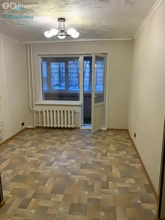 1-комнатная квартира: Димитровград, улица Курчатова, 38 (29.1 м) - Фото 0