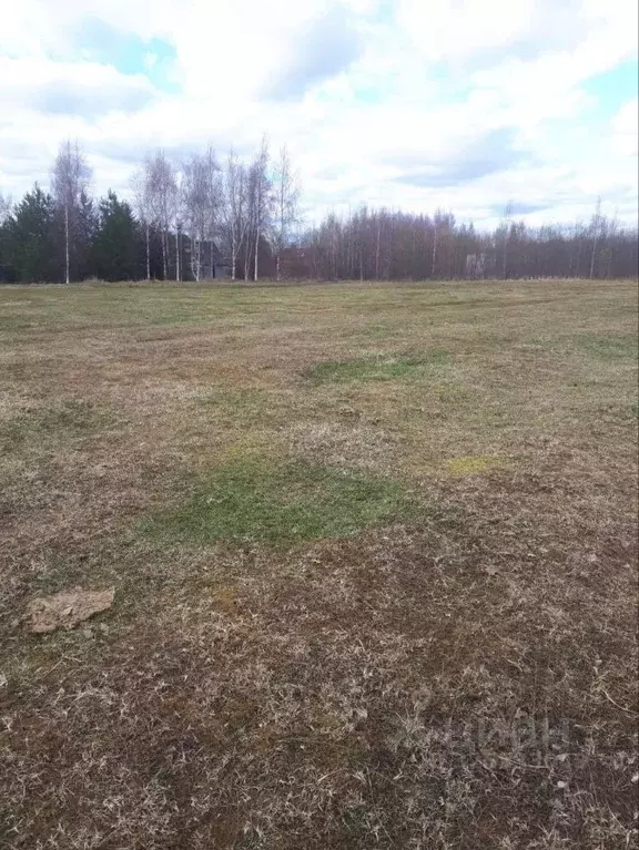 Участок в Новгородская область, Новгородский район, Ракомское с/пос, ... - Фото 2