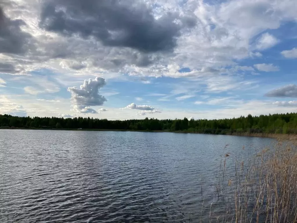 Участок в Рязанская область, Клепиковский район, Болоньское с/пос, д. ... - Фото 2
