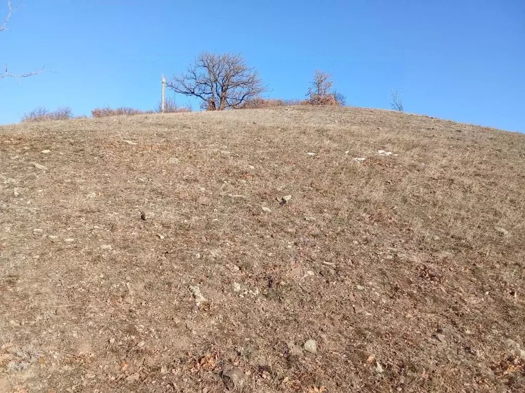 Участок в Крым, Алушта муниципальный округ, с. Приветное ул. Фросинлер ... - Фото 2