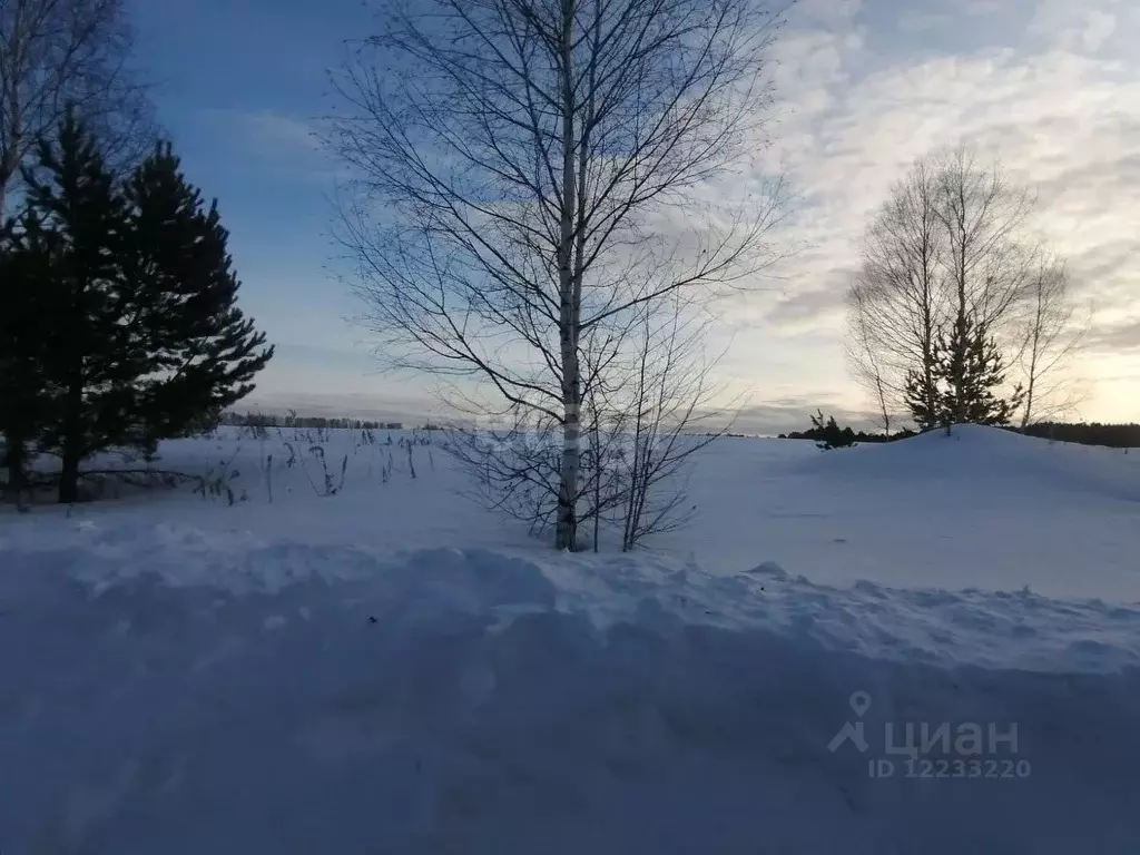 Участок в Свердловская область, Полевской городской округ, с. ... - Фото 1