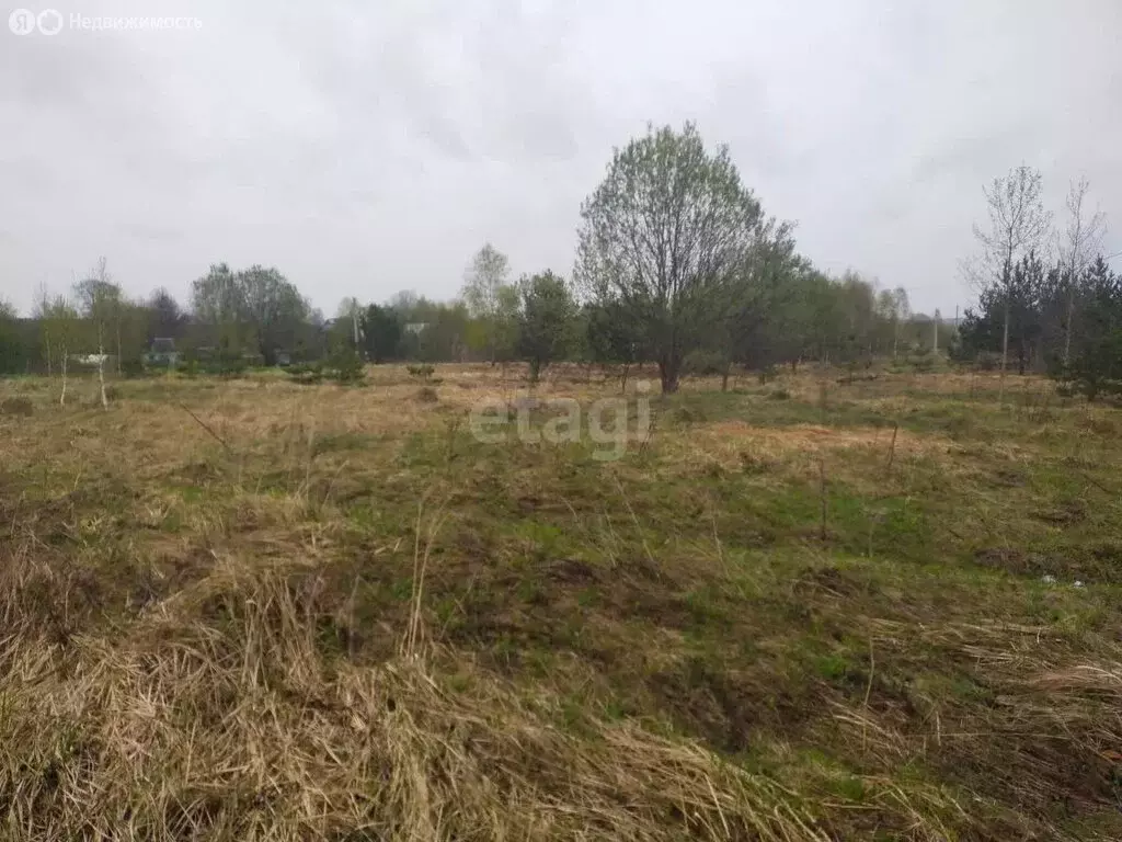 Участок в Калужская область, Дзержинский муниципальный округ, сельское ... - Фото 2