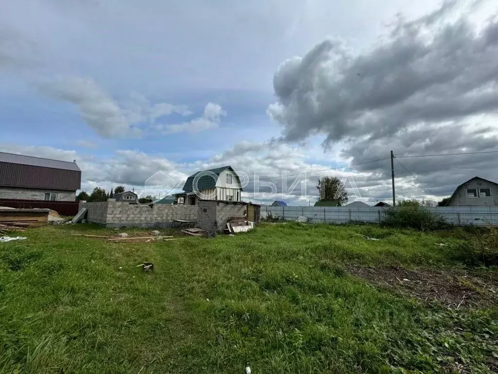 Участок в Тюменская область, Тюмень Царево садовое товарищество, ул. ... - Фото 1