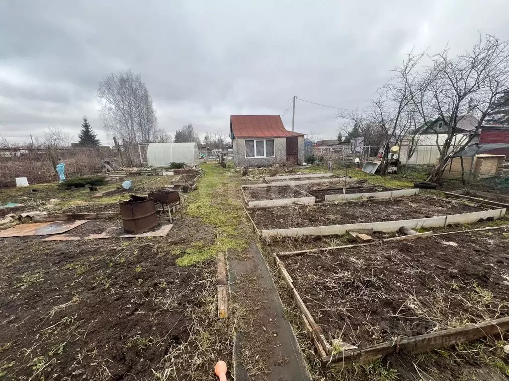 Дом в Ярославская область, Рыбинск Софийская ул. (25 м) - Фото 1