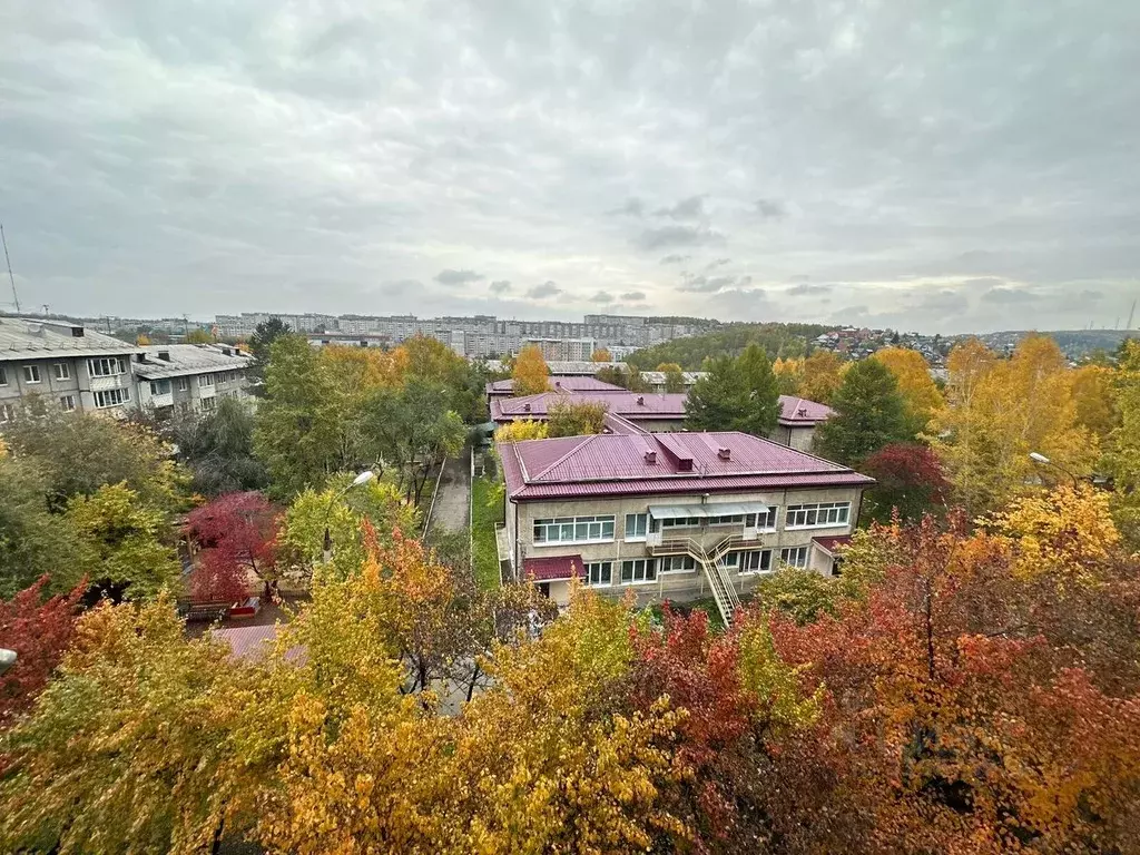 2-к кв. Иркутская область, Иркутск Первомайский мкр, 69 (45.9 м) - Фото 2