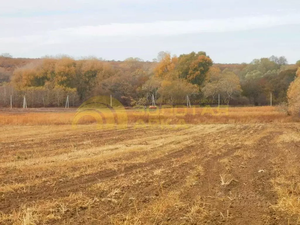 Участок в Краснодарский край, Крымский район, Адагумское с/пос, с. ... - Фото 2