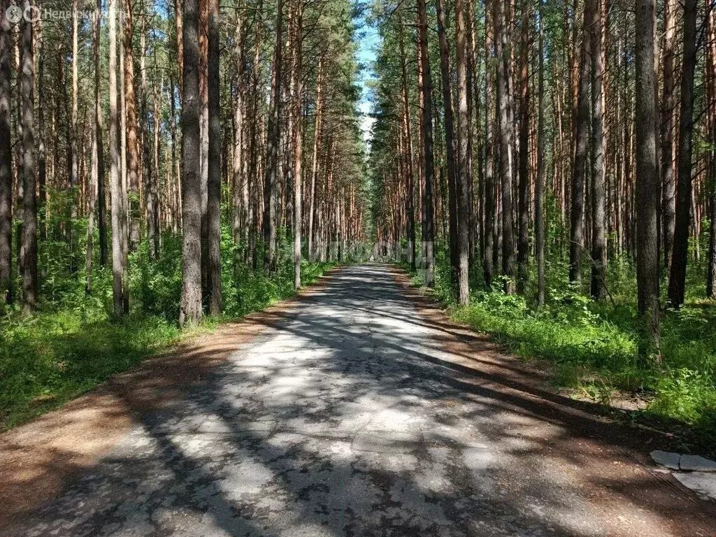 Участок в дачный посёлок Кудряшовский, Лесная улица (12 м) - Фото 0