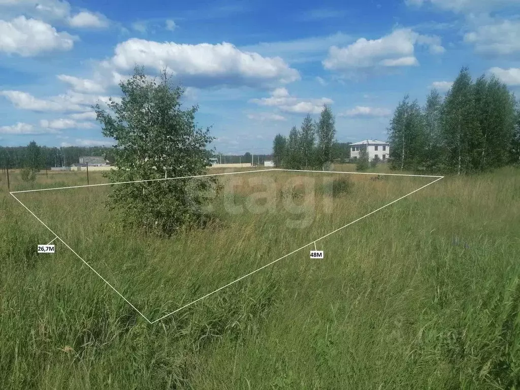 Участок в Омская область, Омский район муниципальный округ, с. ... - Фото 1