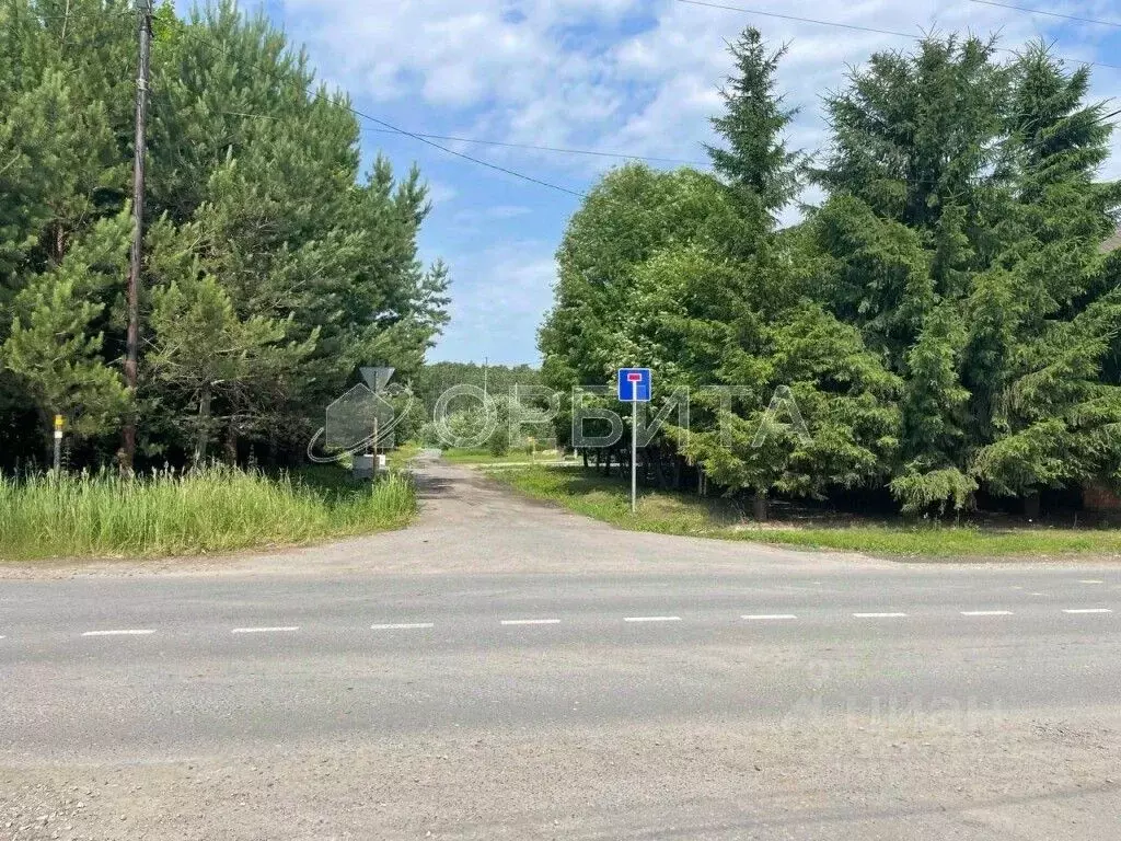 Участок в Тюменская область, Тюменский муниципальный округ, д. ... - Фото 2