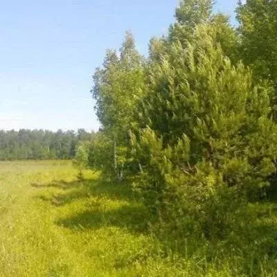 Участок в Московская область, Серпухов Борисовское ш. (10.0 сот.) - Фото 2