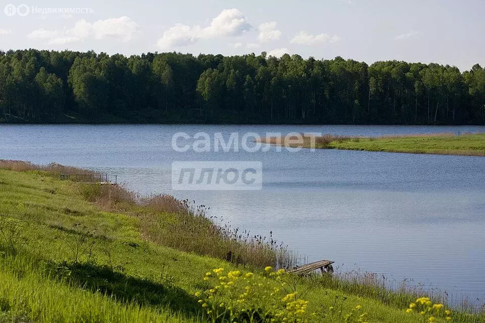 Участок в Тверская область, Зубцовский муниципальный округ, клубный ... - Фото 0