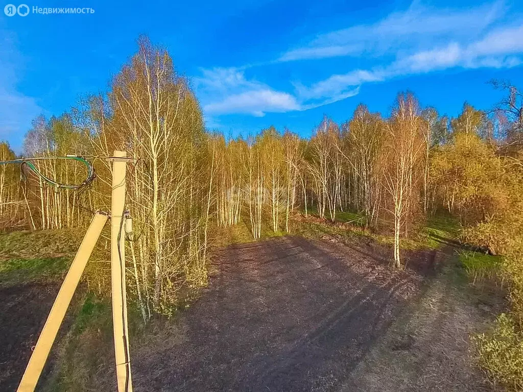 Участок в Нижнетавдинский район, садовое товарищество Моторостроитель, ... - Фото 1