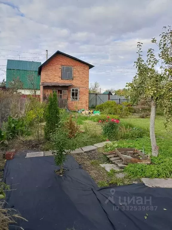 Дом в Челябинская область, Челябинск Тракторосад № 3 СНТ, 31 (48 м) - Фото 1