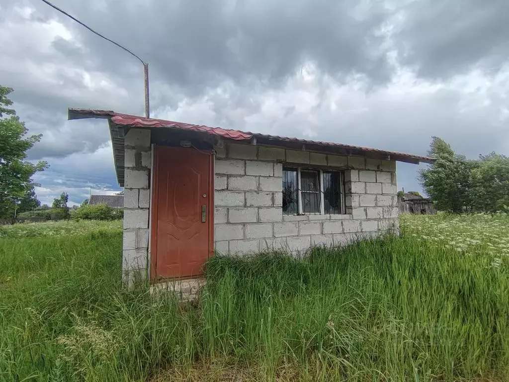 Участок в Псковская область, Опочецкий муниципальный округ, д. ... - Фото 1