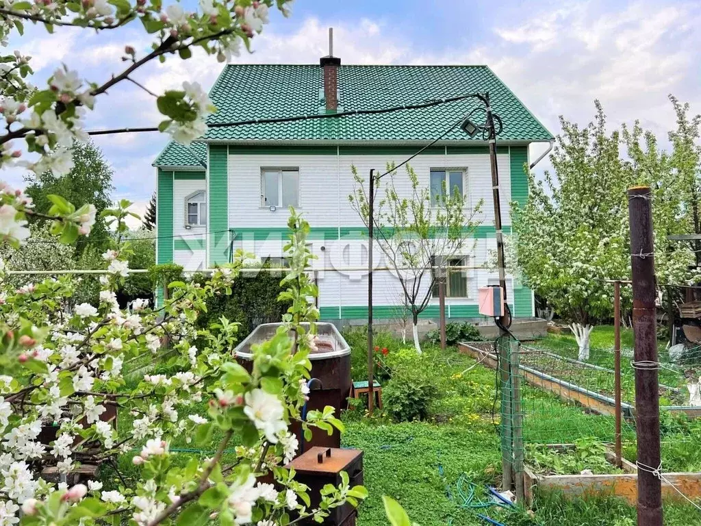 Коттедж в Алтайский край, Барнаул Спутник мкр, ул. Вишневая, 62 (170 ... - Фото 1