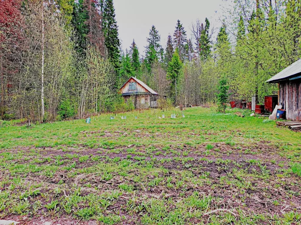 Дом в Пермский край, Пермь Земляничка СНТ,  (35 м) - Фото 1