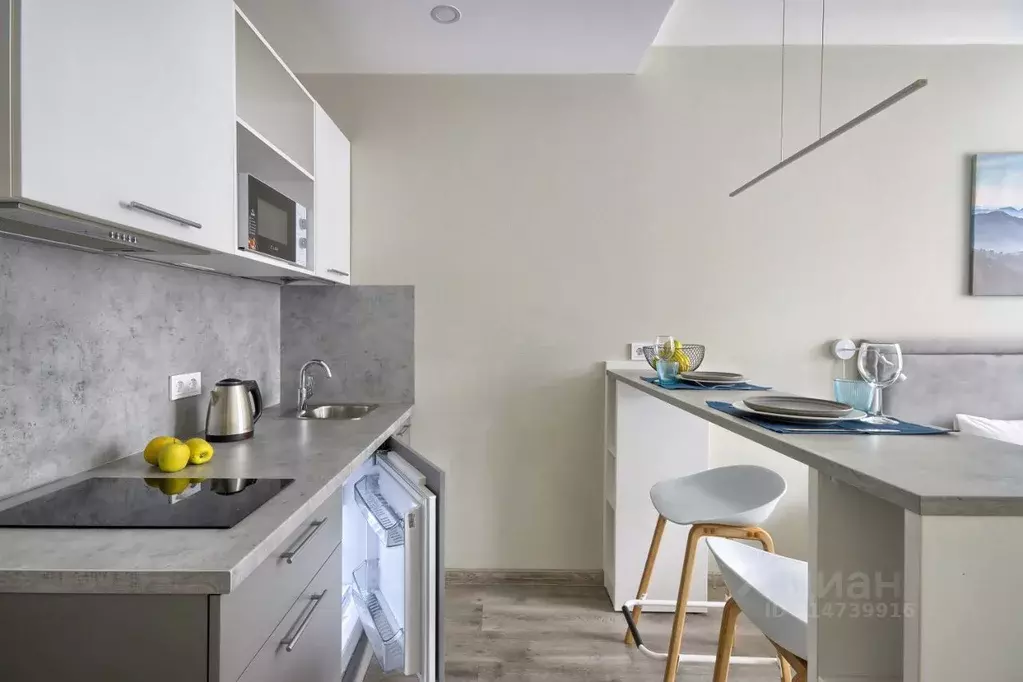Студия Санкт-Петербург Витебский просп., 99к1 (26.0 м) - Фото 1