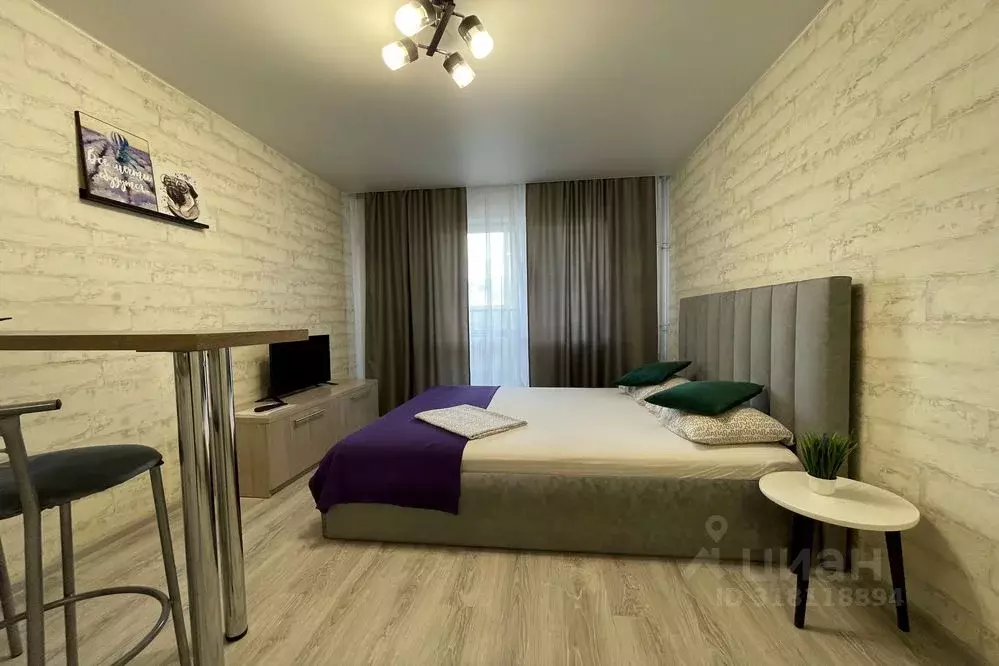Студия Алтайский край, Барнаул просп. Строителей, 18 (24.0 м) - Фото 0