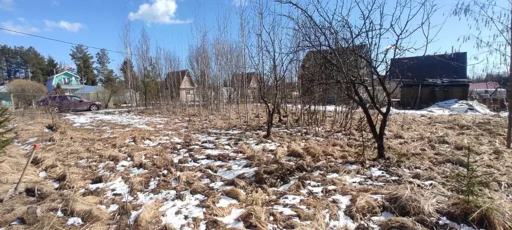 Участок в Ленинградская область, Тосненский район, Трубникоборское ... - Фото 1
