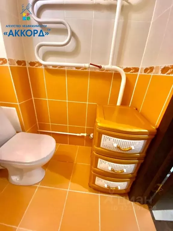 1-к кв. Алтайский край, Новоалтайск ул. Ушакова, 12 (33.8 м) - Фото 1