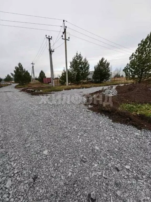 Участок в Кемеровская область, Кемеровский район, д. Солонечная ул. ... - Фото 1