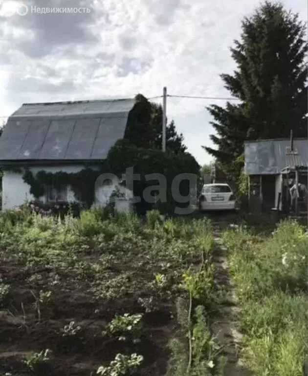 Дом в Кемеровский муниципальный округ, СДТ Бодрость (20 м) - Фото 1