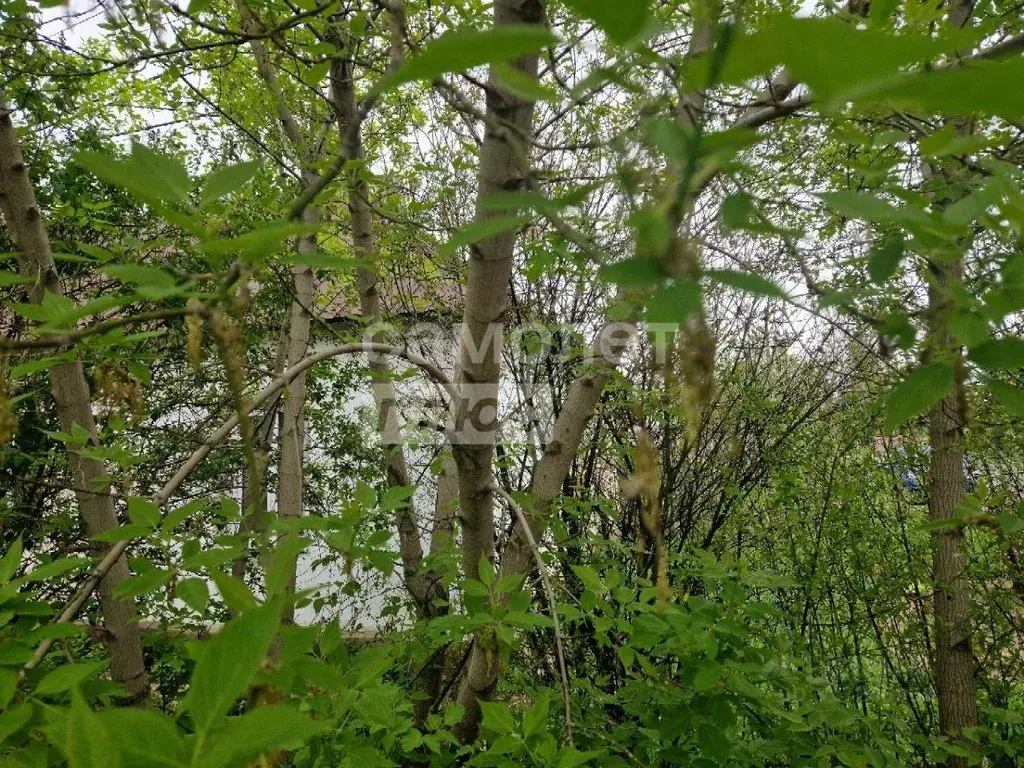 Дом в Челябинская область, Челябинск пос. Шершни, Заводская ул., 2 (32 ... - Фото 1