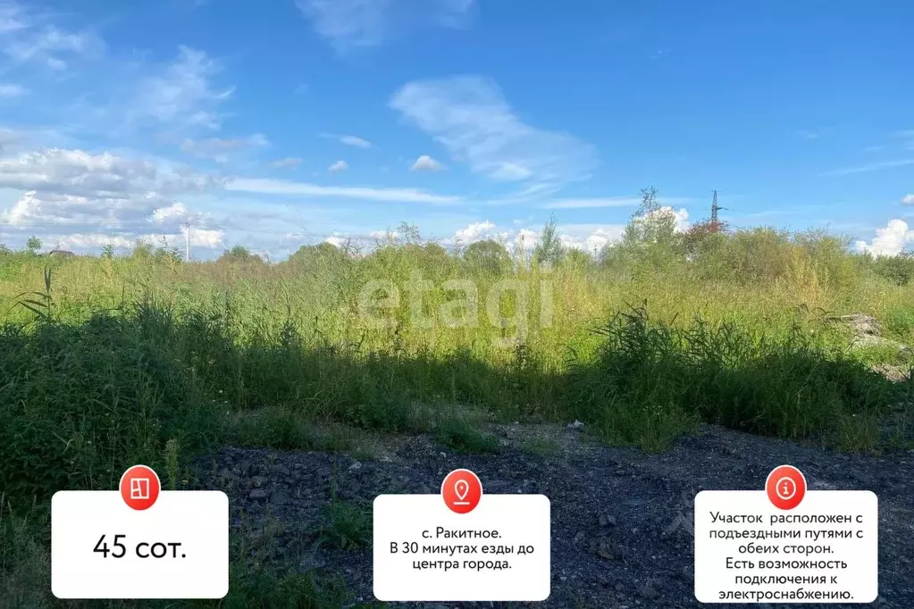 Участок в Хабаровский край, Хабаровский район, с. Ракитное  (45.0 ... - Фото 2