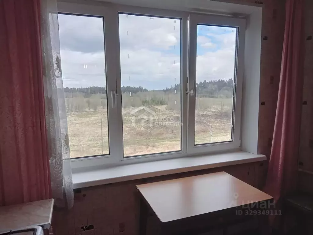 2-к кв. Ленинградская область, Гатчинский муниципальный округ, д. ... - Фото 2