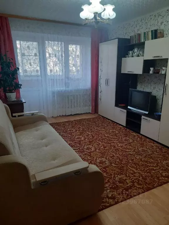 1-к кв. Курская область, Курск ул. Радищева, 64 (31.0 м) - Фото 1