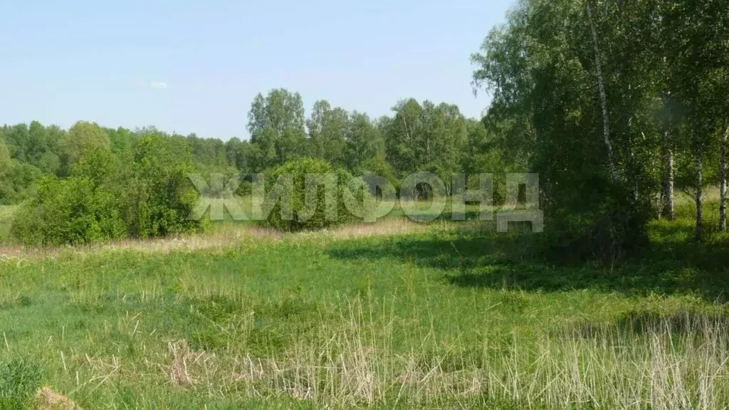 Участок в Новосибирская область, Мошковский район, Индия кп, ... - Фото 1