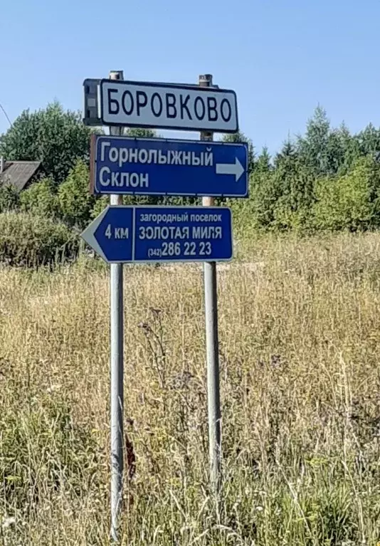 Участок в Пермский край, Добрянский муниципальный округ, д. Боровково  ... - Фото 1