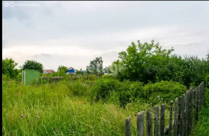 Участок в Новосибирская область, Новосибирский район, Барышевский ... - Фото 0