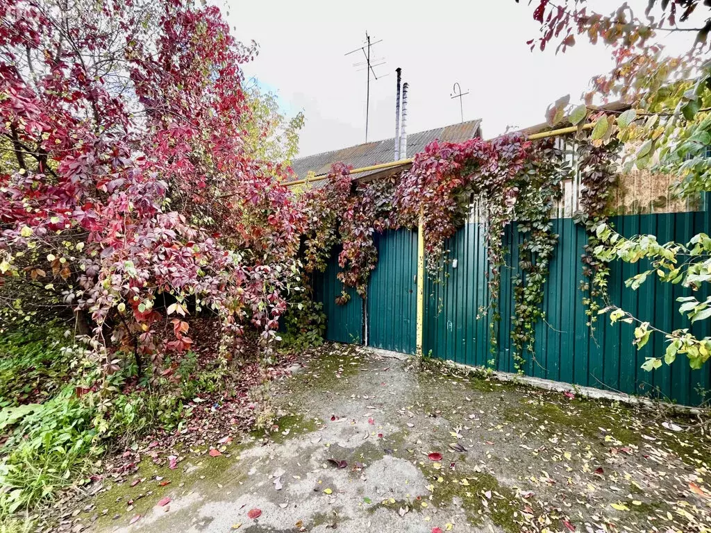 Дом в Асбест, улица Декабристов, 2 (53.4 м) - Фото 1