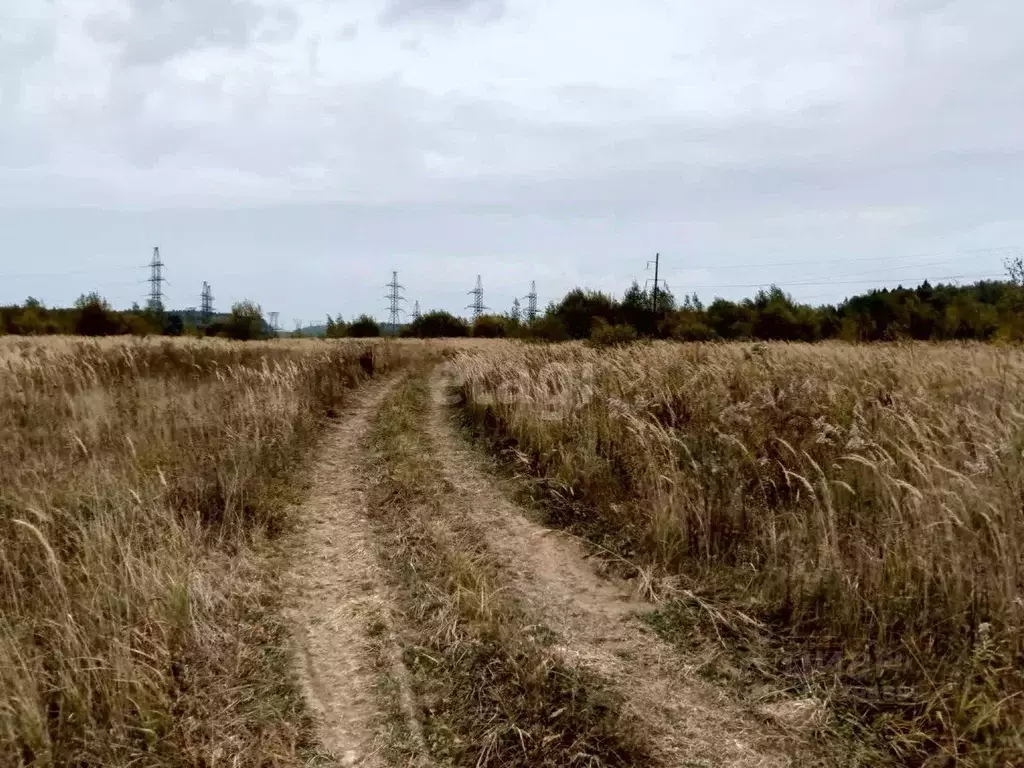 Участок в Калужская область, Малоярославецкий муниципальный округ, ... - Фото 2