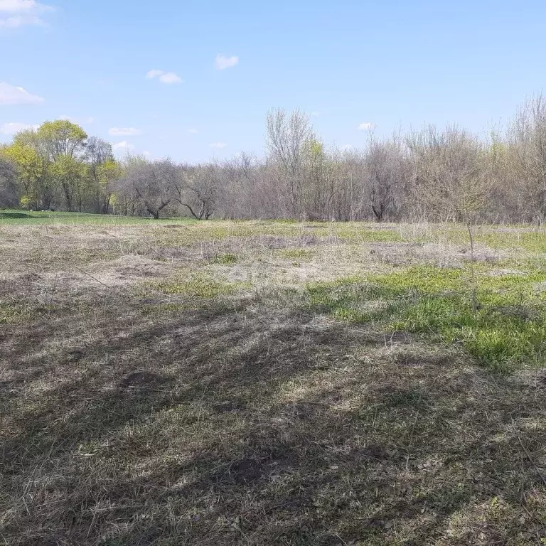 Погода в углянце воронежской. Погода в углянце воронежской