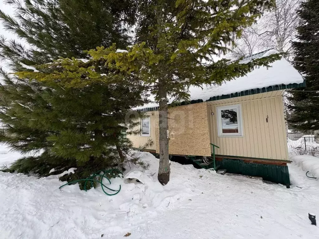 Дом в Кемеровский муниципальный округ, СДТ Берёзка (75.3 м) - Фото 2