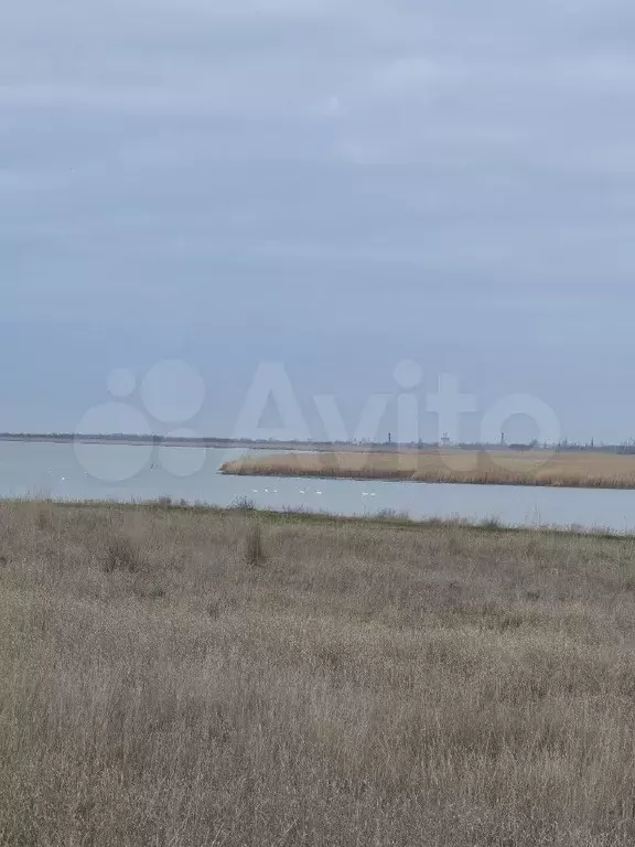 Участок 6 сот. (СНТ, ДНП) - Фото 0