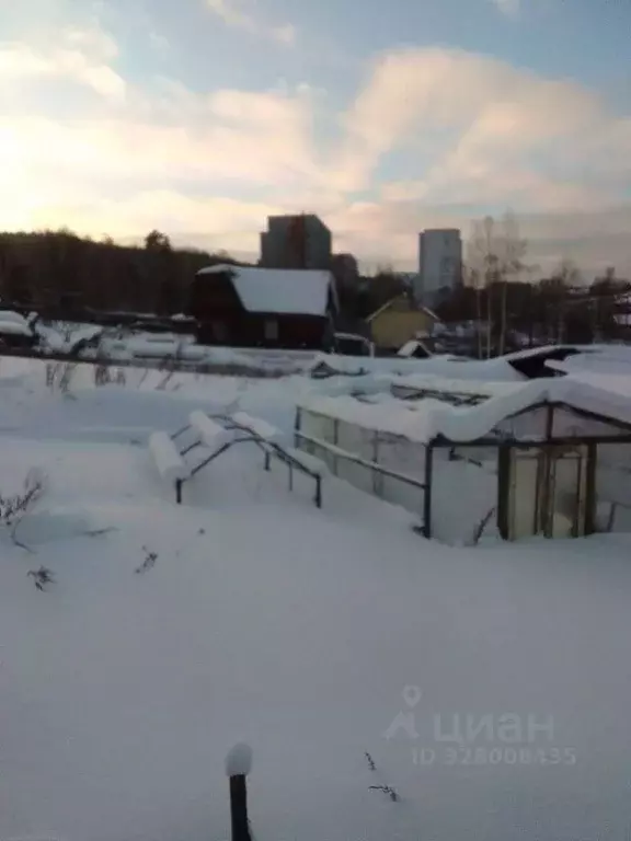 Участок в Иркутская область, Усть-Илимск Парковая СНТ,  (10.52 сот.) - Фото 1