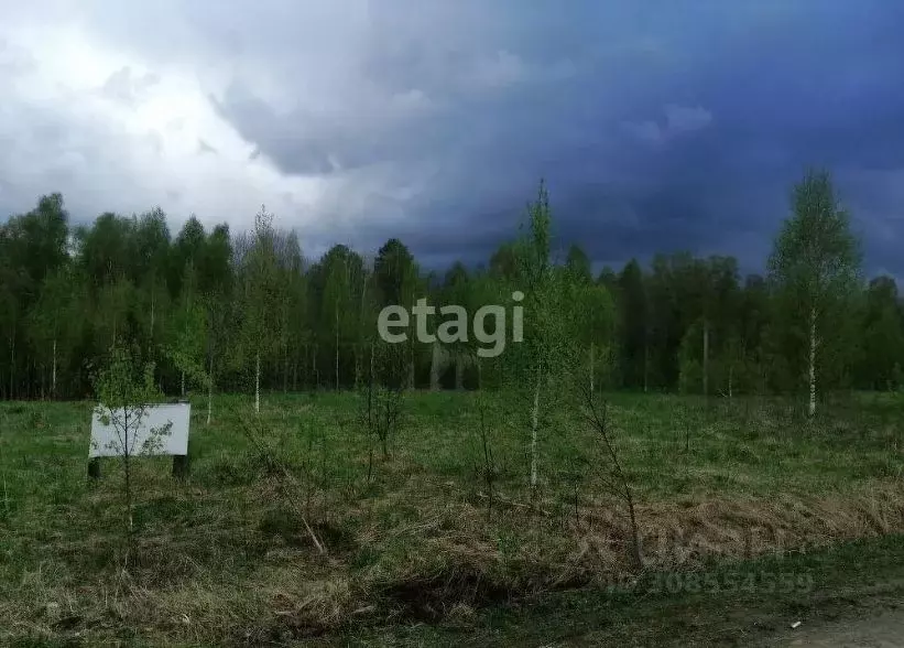 Участок в Томская область, Томский район, Новые Вешки ДНТ ул. ... - Фото 0