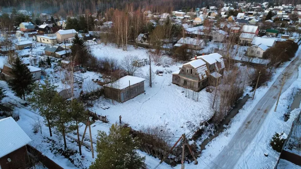 Участок в Ленинградская область, Ломоносовский район, Пениковское ... - Фото 1