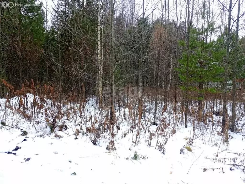 Участок в Свердловская область, Верхняя Салда (8.9 м) - Фото 0