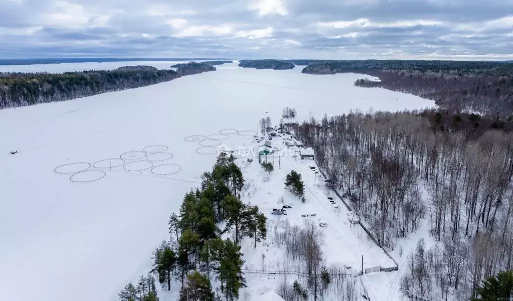 Помещение свободного назначения в Карелия, Кондопожский район, ... - Фото 1