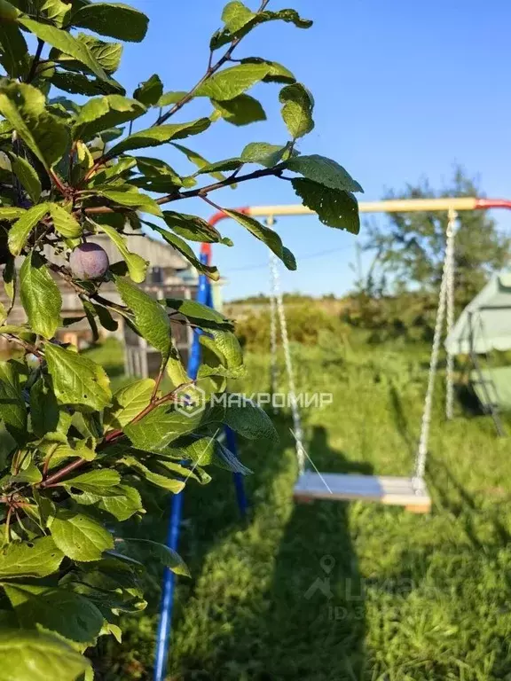 Дом в Архангельская область, Приморский муниципальный округ, д. ... - Фото 1
