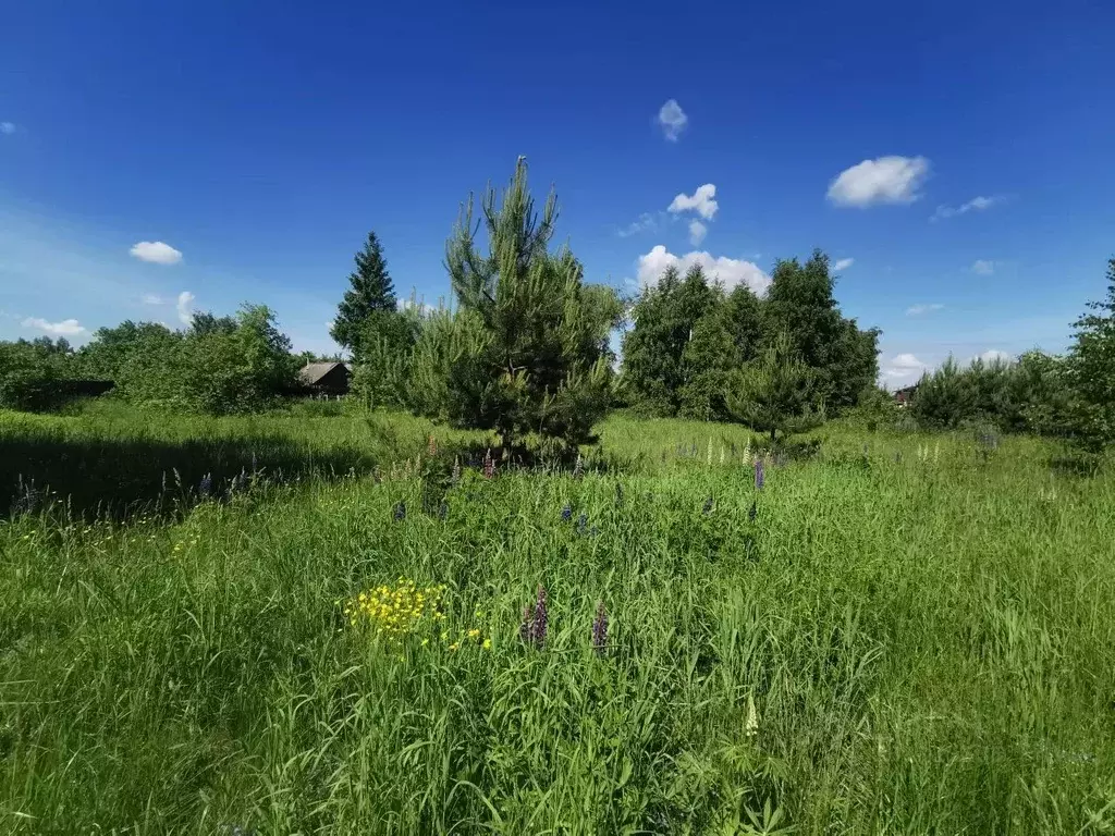 Участок в Московская область, Коломна городской округ, с. Нижнее ... - Фото 2