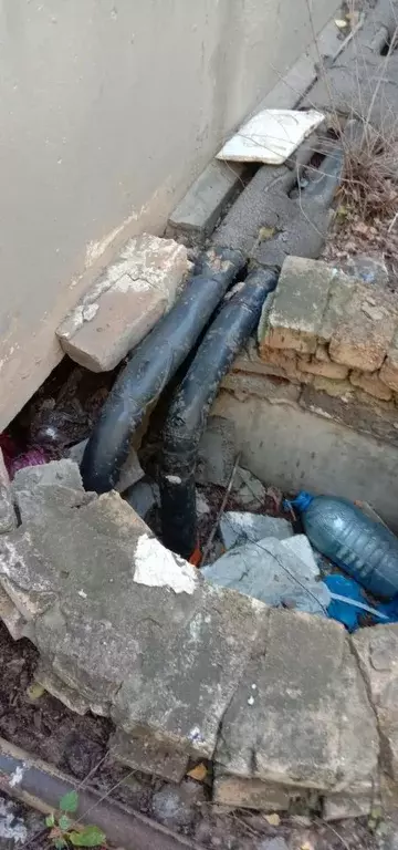 Помещение свободного назначения в Омская область, Омск ул. ... - Фото 2