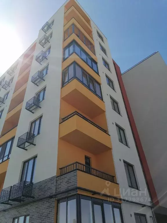 1-к кв. Белгородская область, Белгородский район, Дубовское с/пос, ... - Фото 0